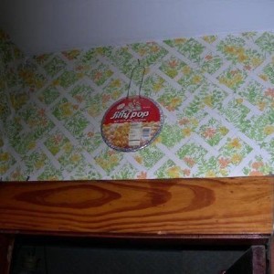 redneck_fire_detector