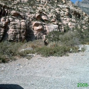 Red Rock Canyon big horn,yep, in Vegas