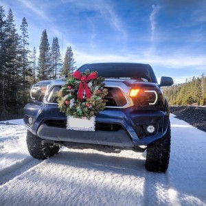 Merry Christmas