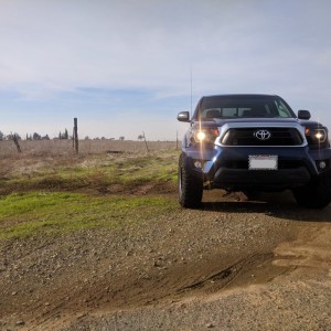 New Headlights