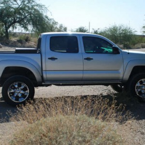 Taco215
