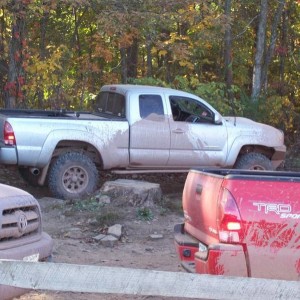 Green_ridge_077