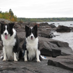 My best friends - Dixie and Jake - on Lake Superior