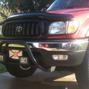 grill_bull