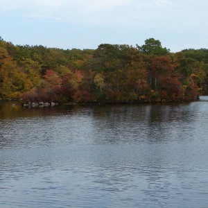 Green Falls Pond