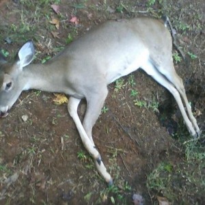 my first of the season...finally. small, but good eating!!