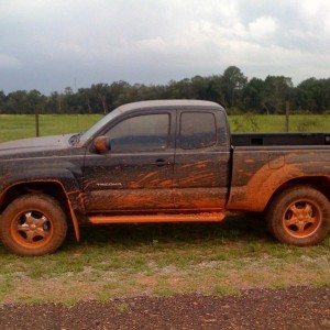 who ordered the mud taco?