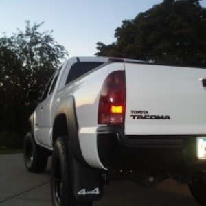 blacked out tails, and emblems