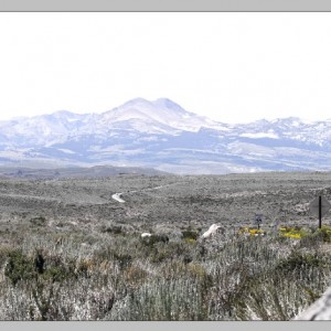 Bodie Road