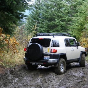 Muddy