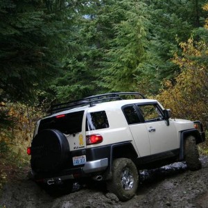more mud