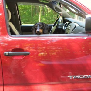 Where we going?