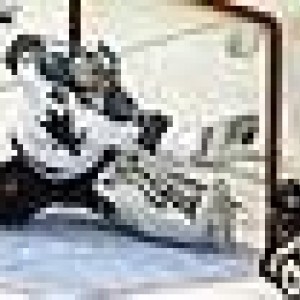 capt_6bf87f5496784a81b81277081f96817f_sharks_stars_hockey_dna112