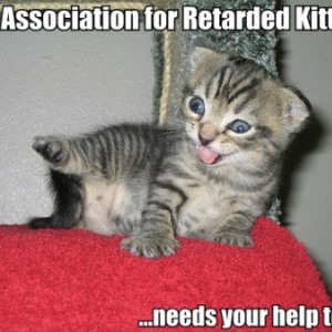 retarded_kitten