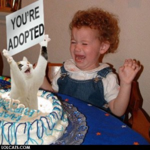 adopted_cat