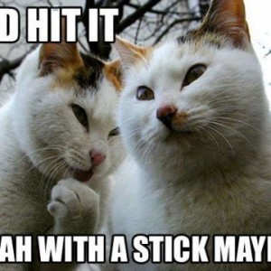 hit_it_with_a_stick