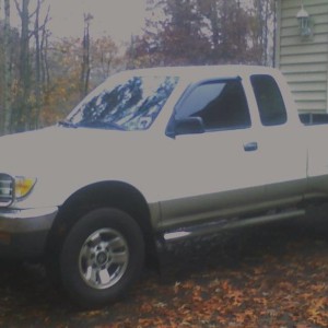 WINDOW TINT