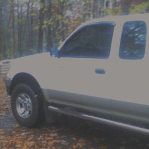 WINDOW TINT