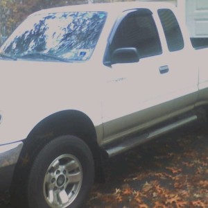 WINDOW TINT
