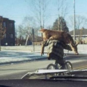redneck_bike_hunter