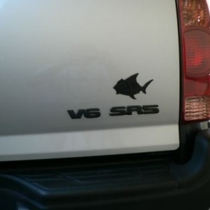 Blacked out emblems