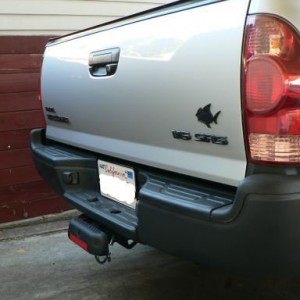 Blacked out emblems