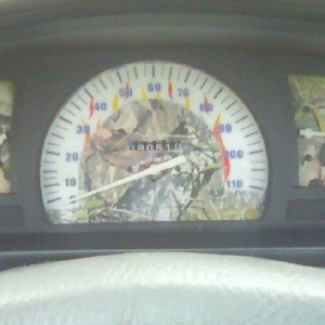 New_gauges