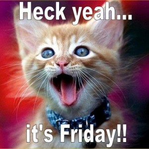 friday_cat