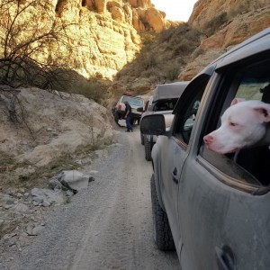 Box Canyon Run 2-24-2018