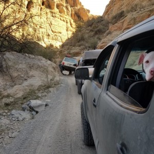 Box Canyon Run 2-24-2018