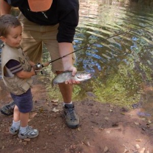 My boy's first fish