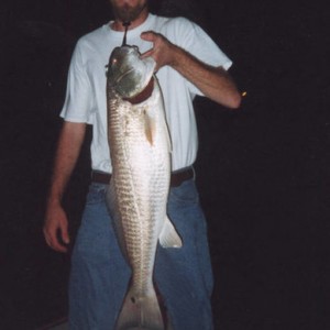 Sebastain Inlet Red Fish