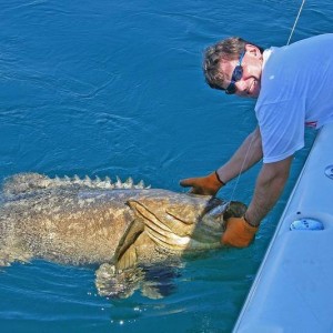JJ_Grouper2