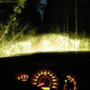 DSCN1525