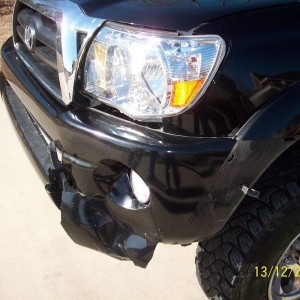 Deer Damage