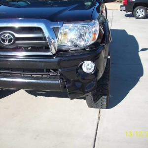 Deer Damage