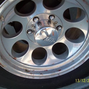 Deer Damage