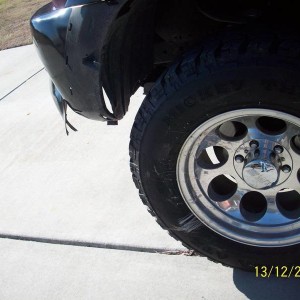 Deer Damage