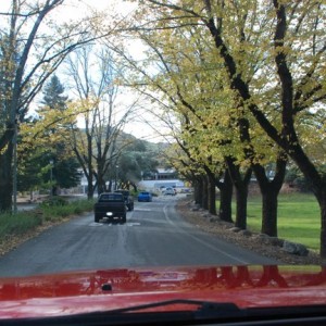 the road again