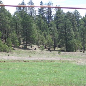 Flagstaff_006