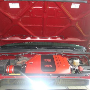 Redline hood struts