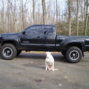 06 Tacoma / 06 Bulldog