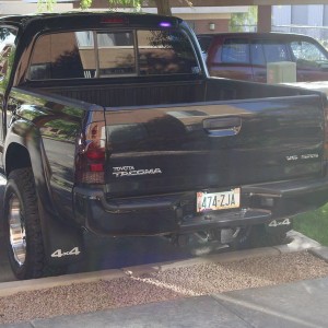 tinted tails