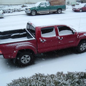 Tacomas in Snow