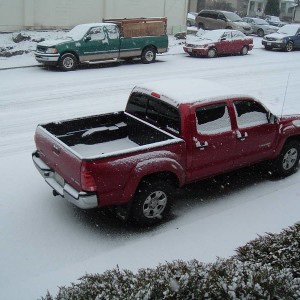 Tacomas in Snow
