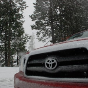 taco-snow3