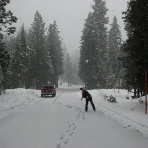 taco-snow2