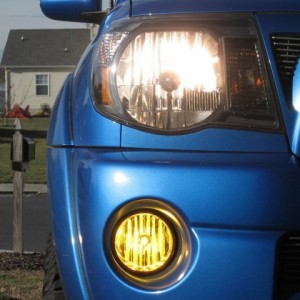 Yellow Fogs