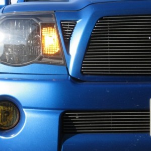 Yellow Fogs