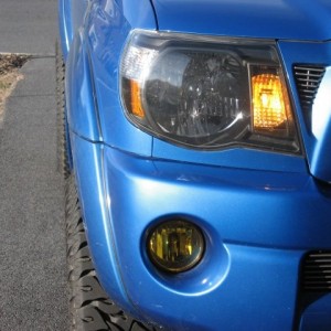 Yellow Fogs